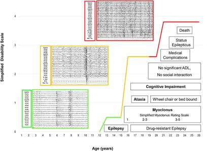 Association of CSF and PET markers of neurodegeneration with electroclinical progression in Lafora disease